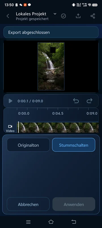 Gespeicherte Stummschaltung erneut geöffnet; die gemeinsame Exportdatei hat keine Audiospur.