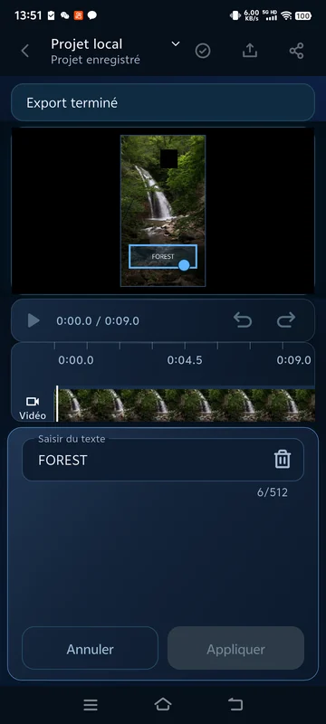 Texte enregistré rouvert : FOREST a été saisi manuellement et reste fixe.