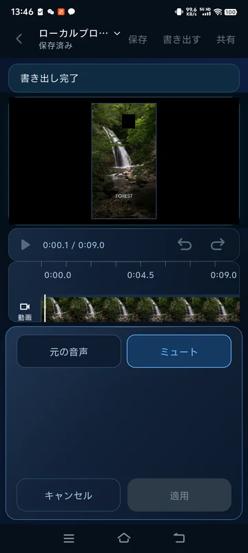 保存済みの消音設定を再度開いた状態です。共通の書き出しファイルに音声トラックはありません。